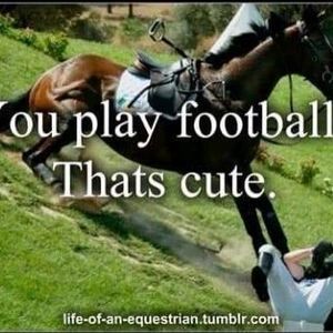 Meet your Posher, Matty